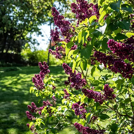 Altes Forsthaus Schotten
